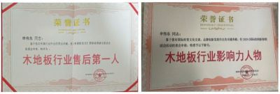 木地板優(yōu)秀行業(yè)優(yōu)秀勞?！陚|